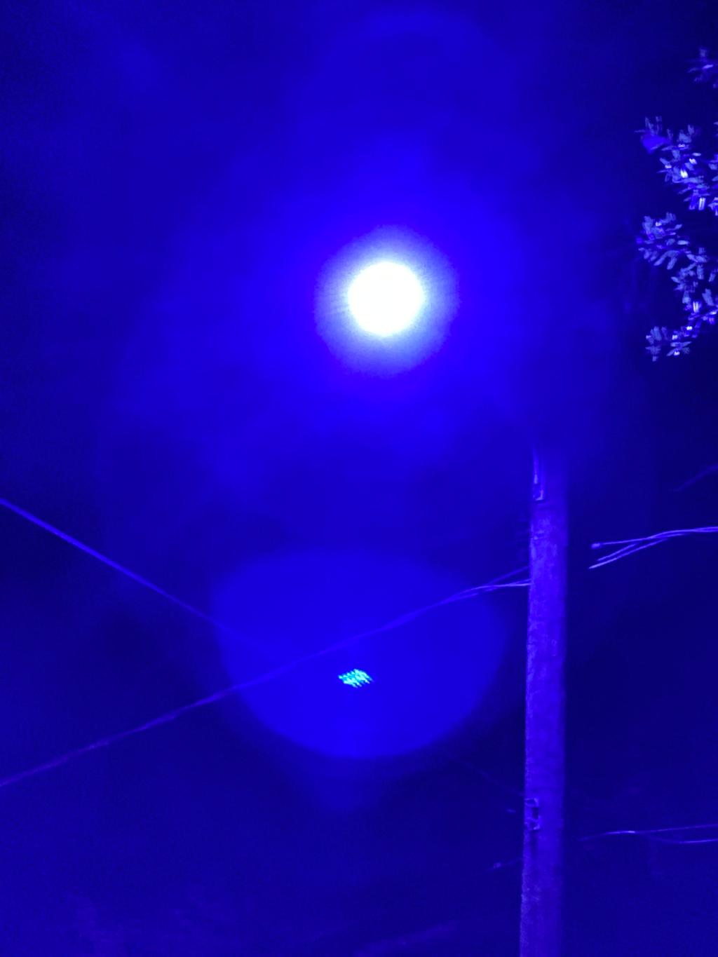 Blue streetlight
